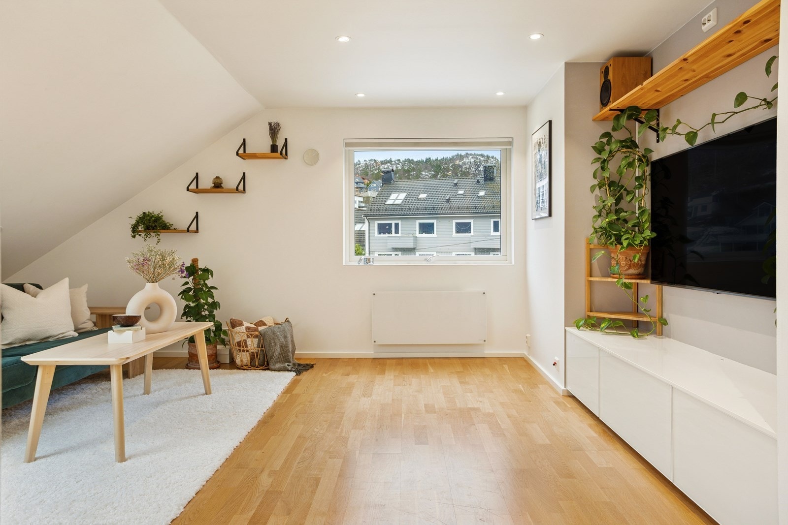 Det god plass til en komfortabel sofa og tilhørende møblement. Galleribilde