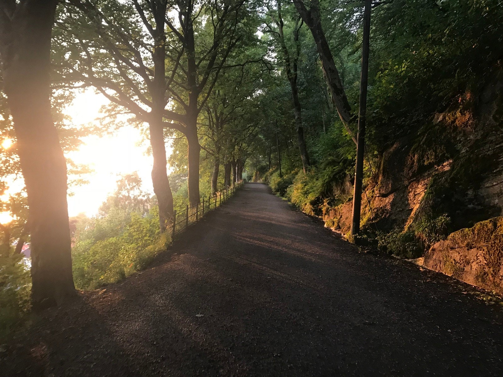 Hva med en fin joggetur i byens mest kjente tursti - Fjellveien? Galleribilde