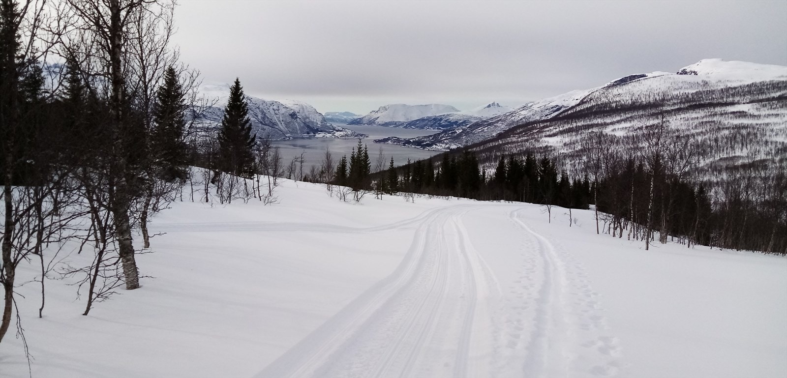 På vintertid er det skiløyper rett utenfor hyttedøra. Galleribilde