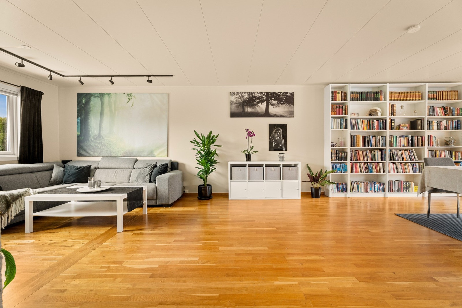 Romslig og lys stue med store vindusflater som gir rikelig med naturlig lys. Galleribilde