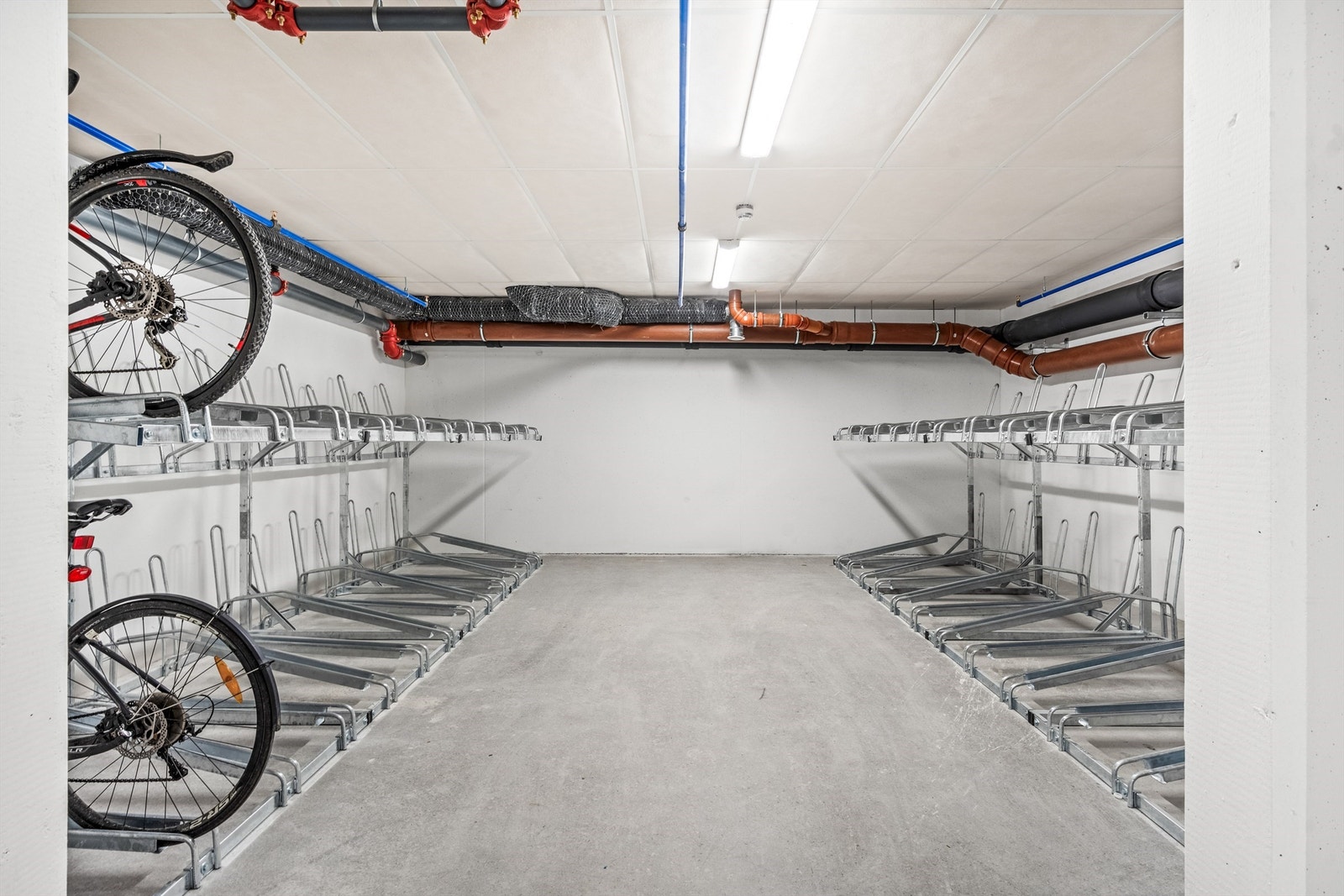 Sykkelbod. Galleribilde