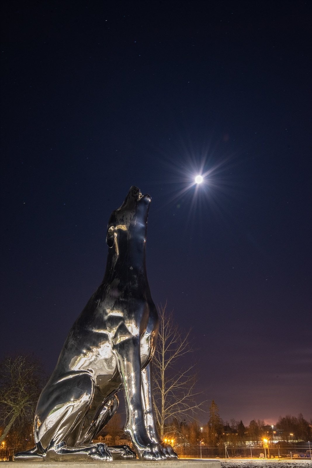 Dette rekkehuset ligger ca 400 meter KUSK - her ses den ved den hylende hunden som passer på alle elevene. Galleribilde