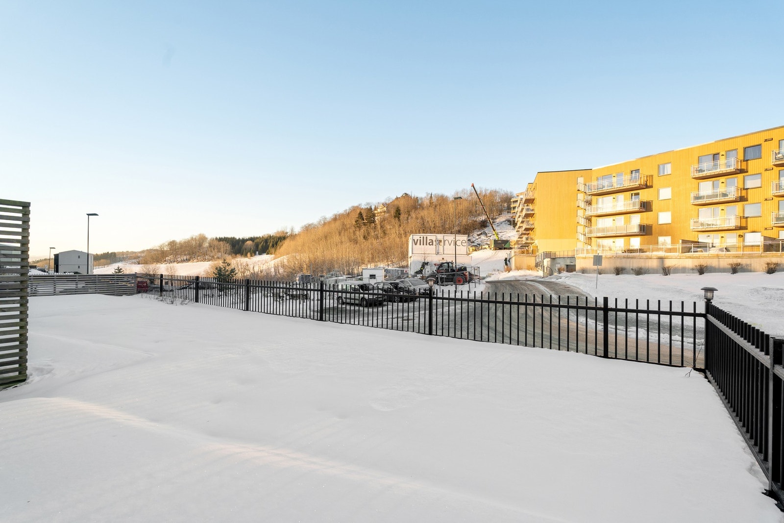 Gode solforhold. Galleribilde