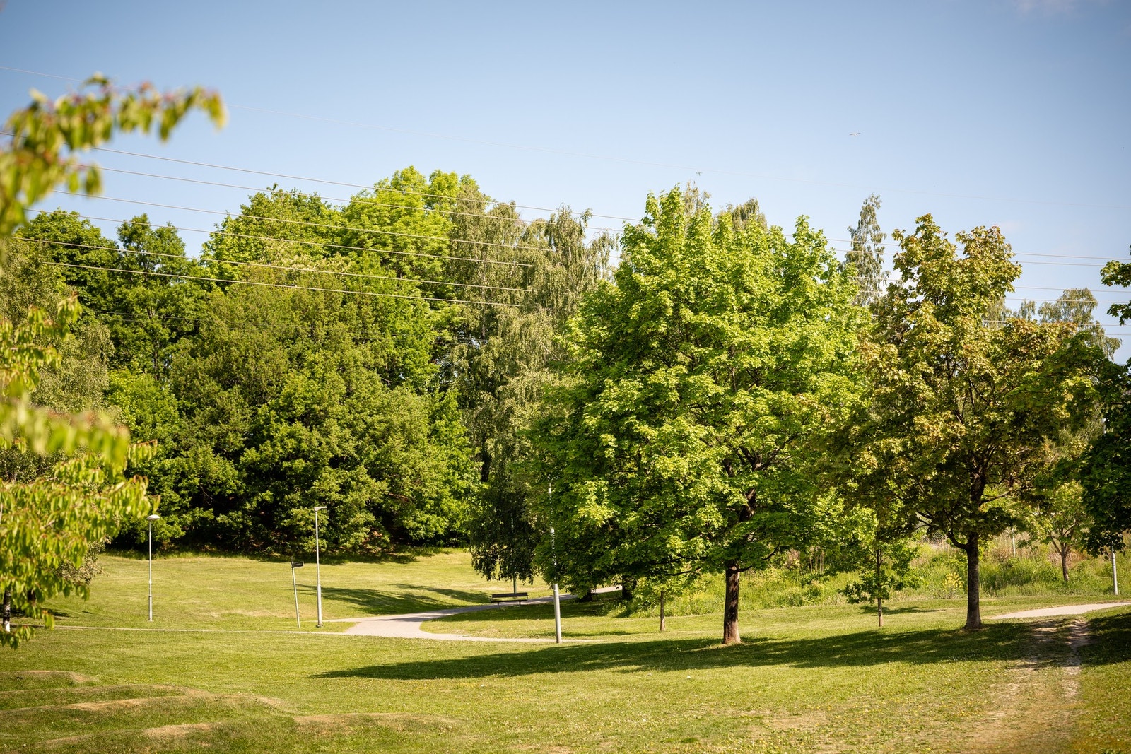 Umiddelbar nærhet til tur- og parkområder. Galleribilde