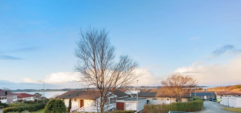 Utsikt. Galleribilde