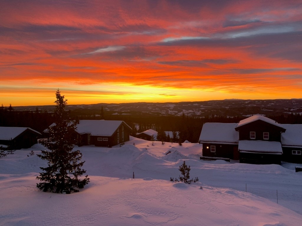 Privat foto. Galleribilde