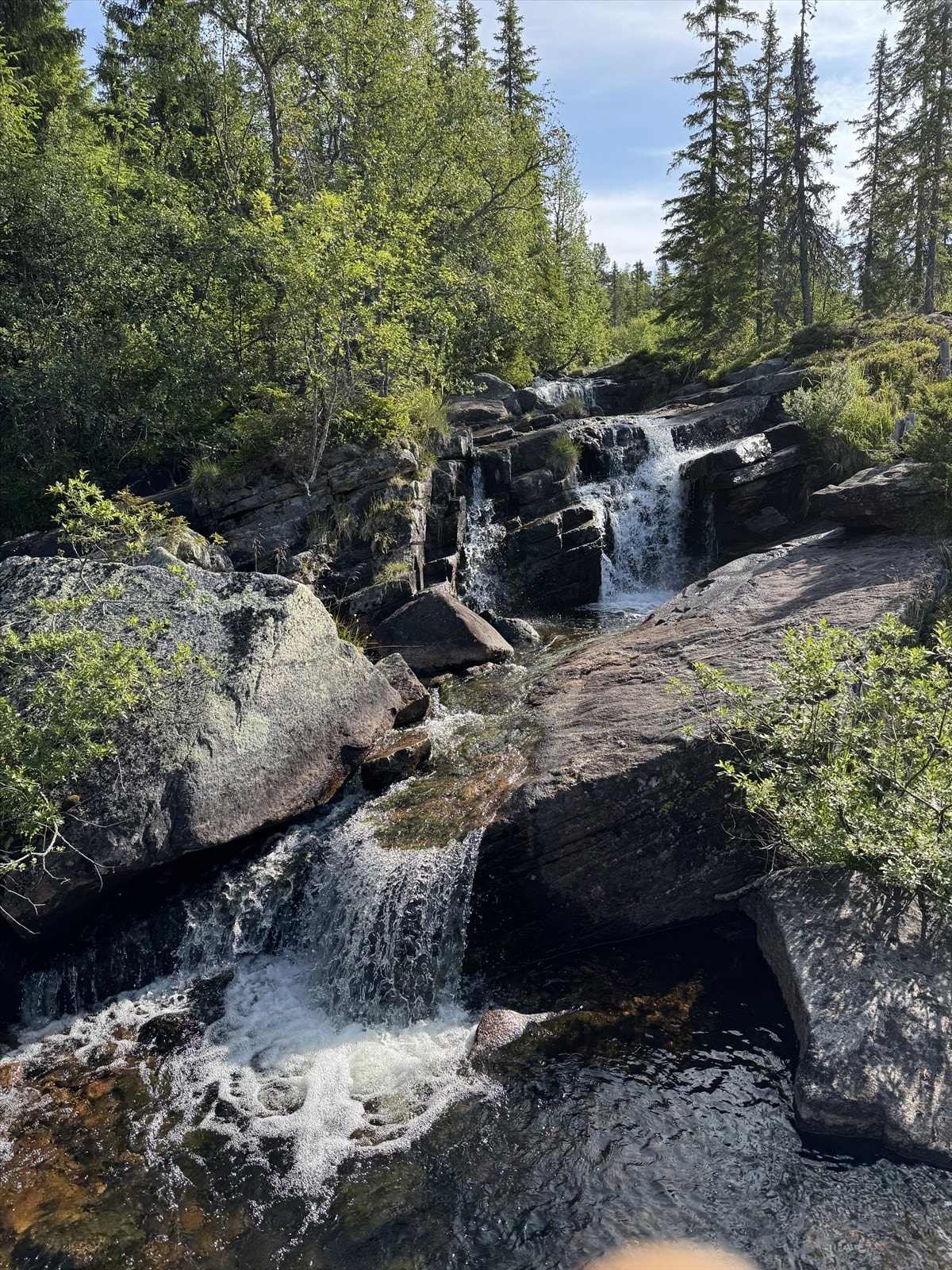 Jelleelva ligger ca 150 meter fra hytta - her er det muligheter for bading om sommeren. Galleribilde
