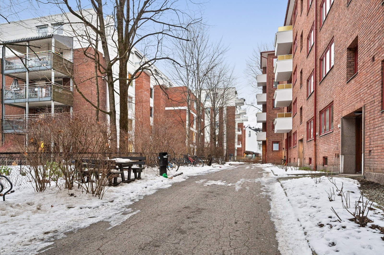 Felles tomt opparbeidet med blant annet: Asfalterte internveier, gressplen, trær, prydbusker og diverse beplantning. Galleribilde