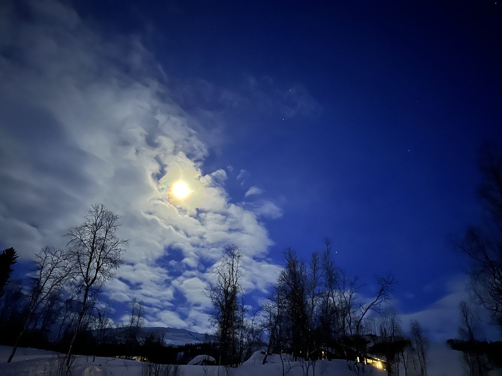 Privat foto. Galleribilde