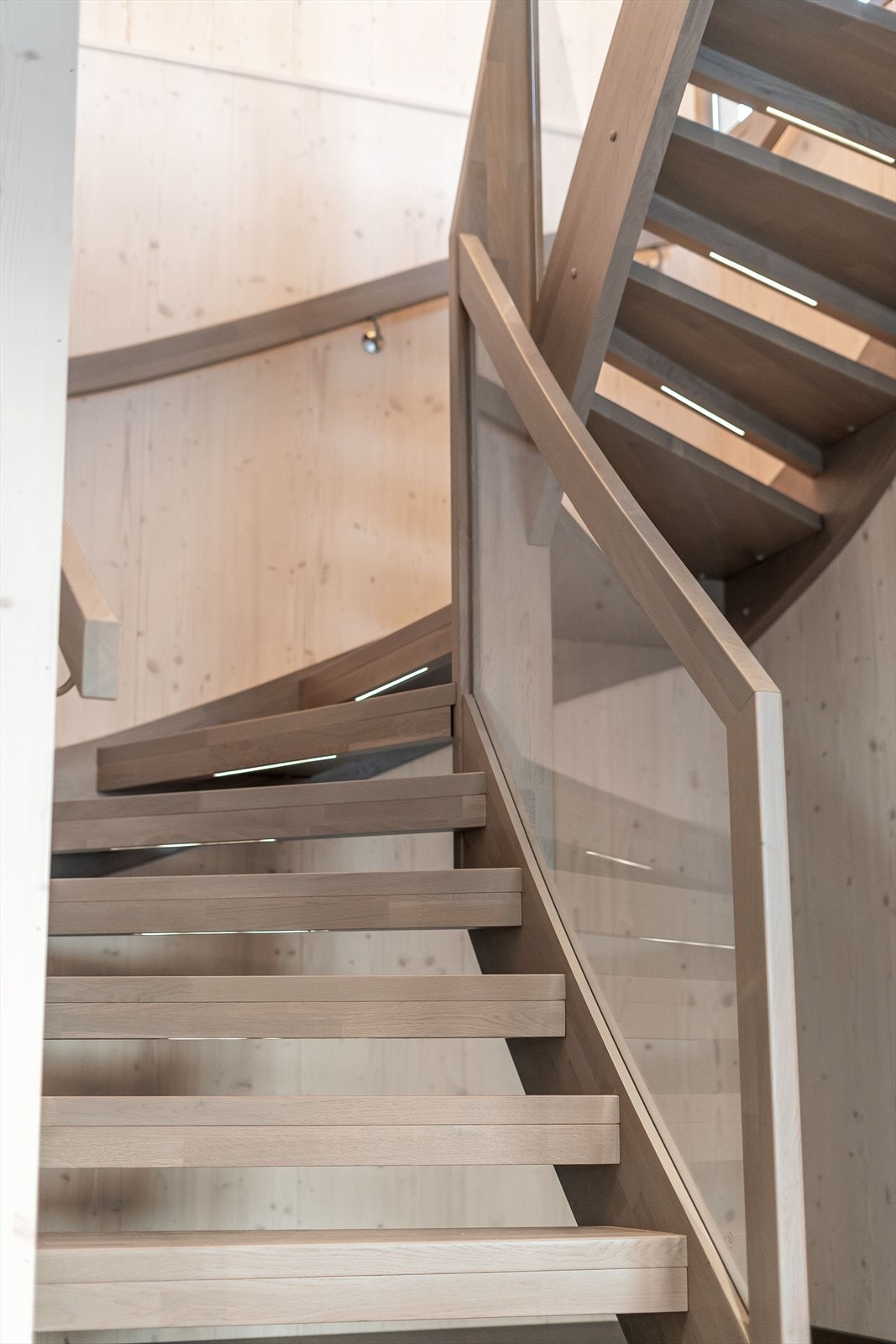 Trapp.jpeg Galleribilde