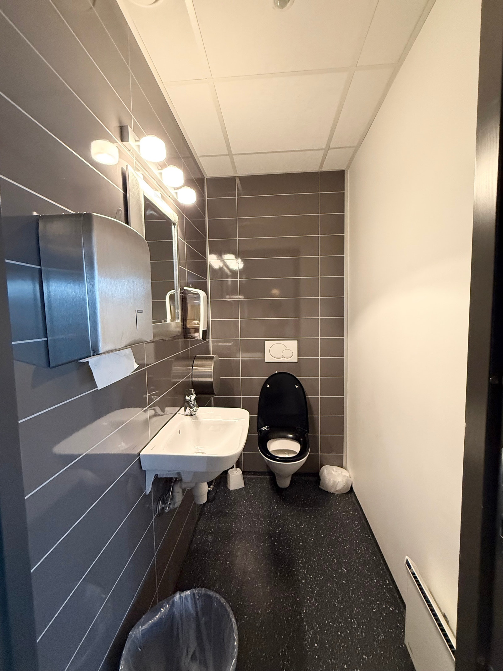 Ene toalettet Galleribilde