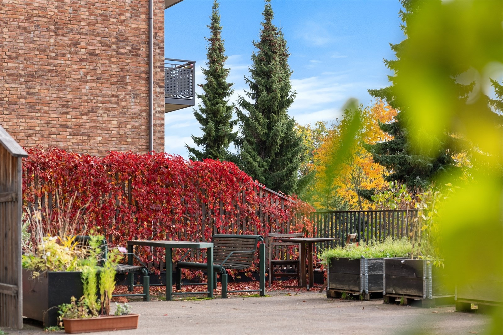 Her kan beboerne dyrke egne urter, grønnsaker og blomster i felles eller private plantekasser. Galleribilde