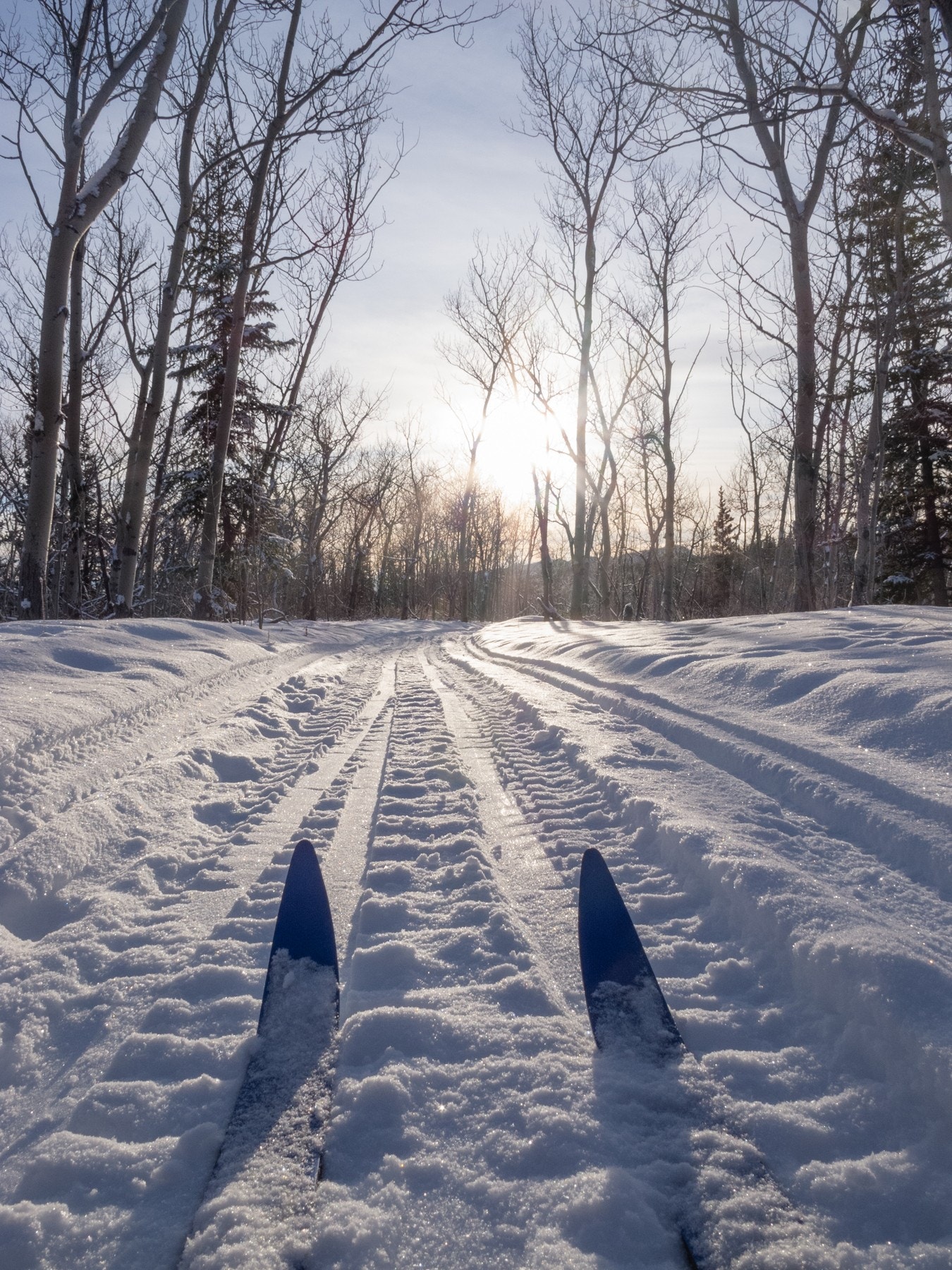 Umiddelbar nærhet til naturen og til skiløyper som starter ved jordet på nabotomten. Herfra kan du gå videre inn i det fantastiske løypenettet som Vestmarka tilbyr Galleribilde