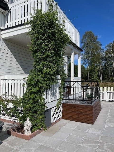 Pent opparbeidet tomt med belegningsstein og kantstein Galleribilde