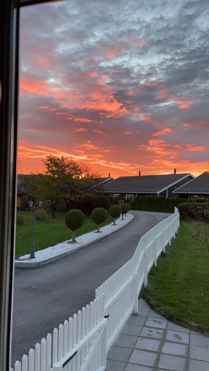 Asfaltert innkjørsel med gjerde og pent beplantet alle' Galleribilde