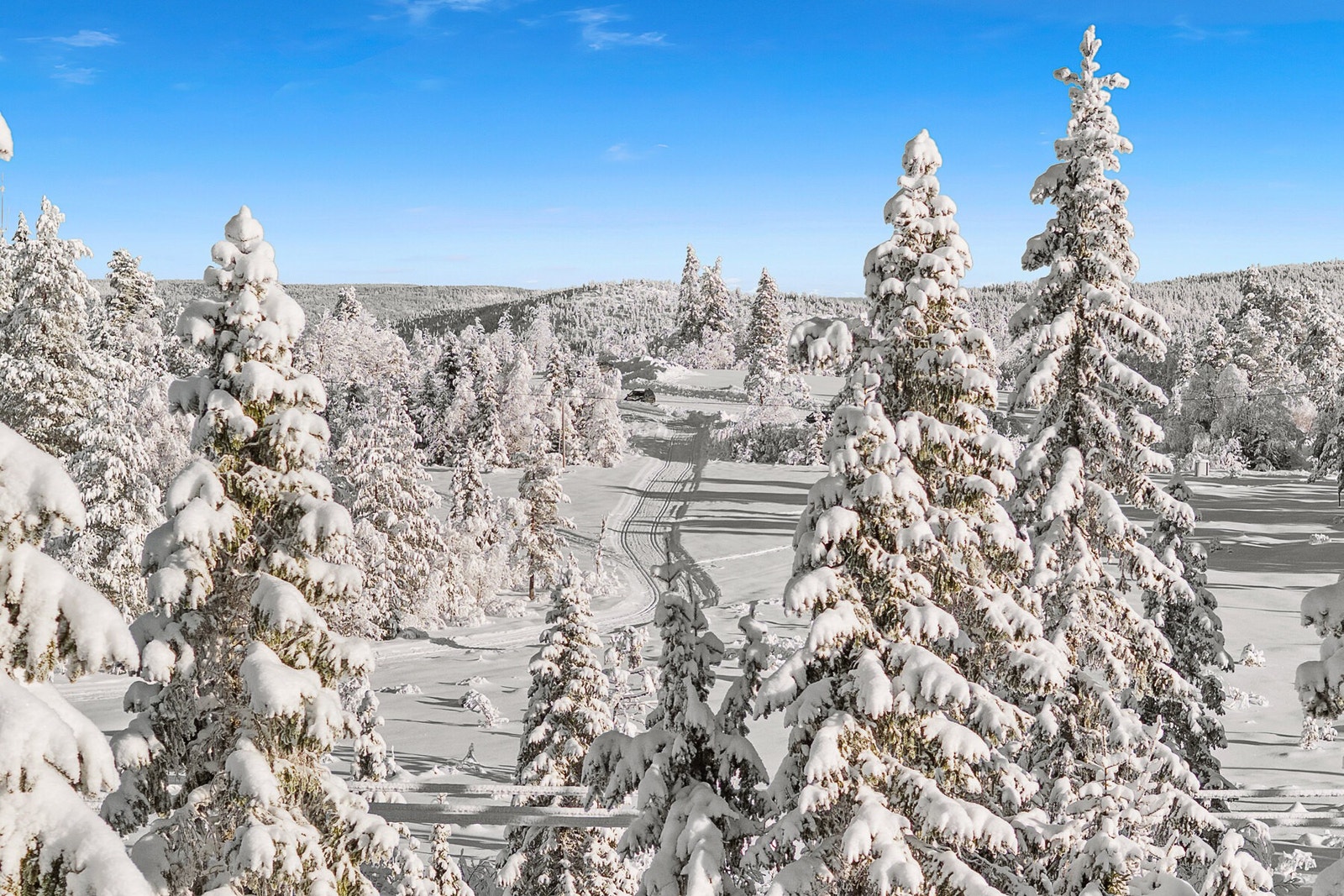 Her ligger oppkjørte skiløyper i umiddelbar nærhet. Velkommen til visning! Galleribilde