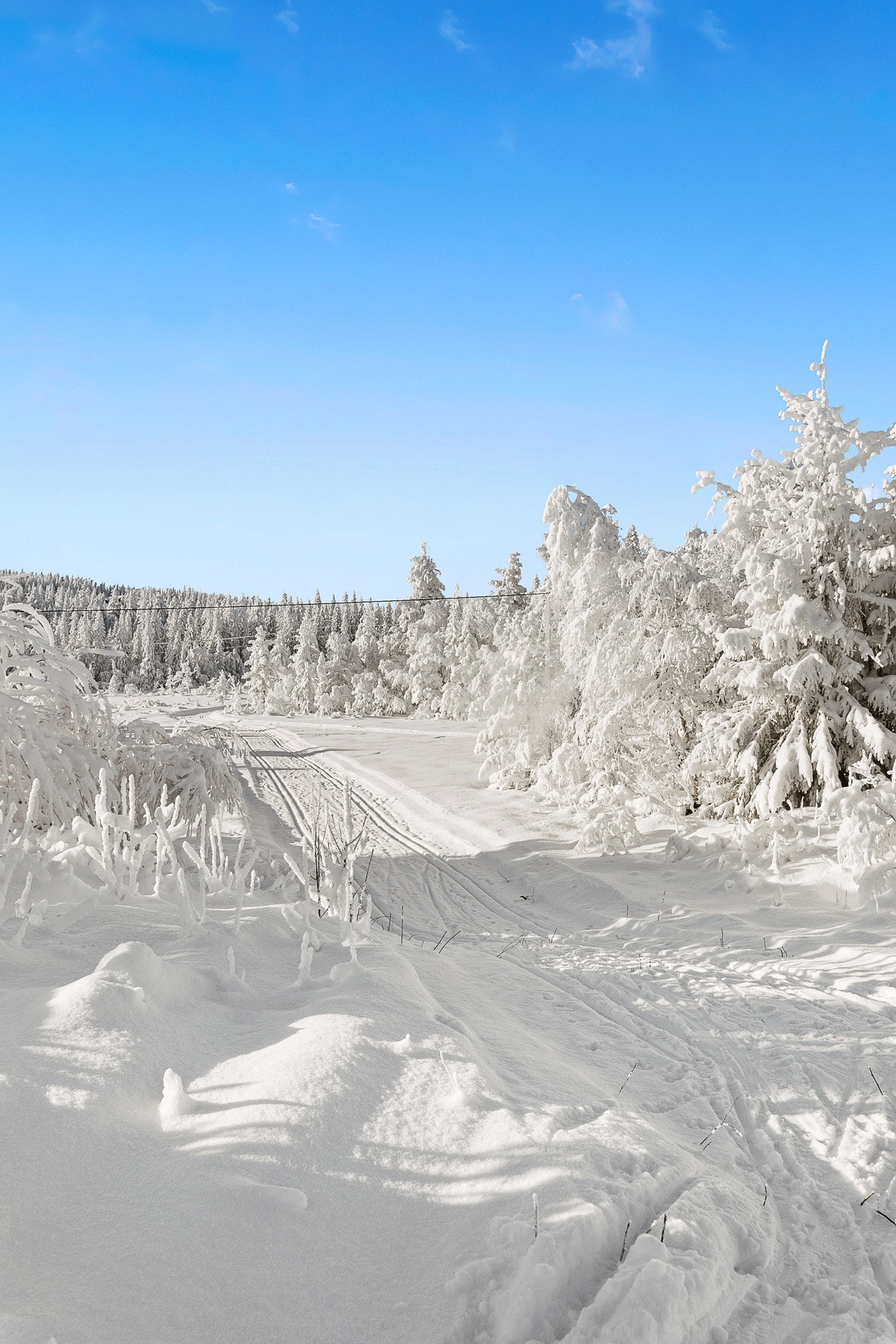 Totalt byr nærområdet på Skrim på mer enn 60 km maskinpreparerte løyper.
Løypenettet ligger rett ved hytta og strekker seg milevis i flere retninger. Galleribilde