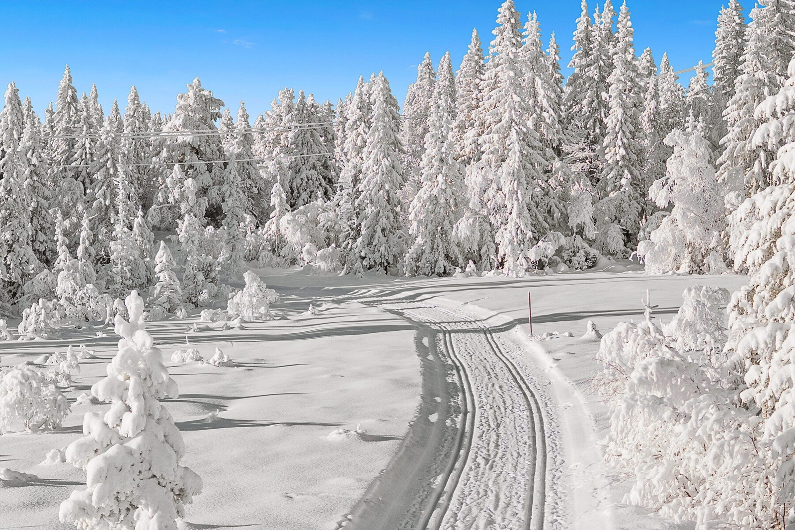 På vinterstid er det oppkjørte langrennsløyper som blir godt preparert gjennom hele vinteren. Galleribilde