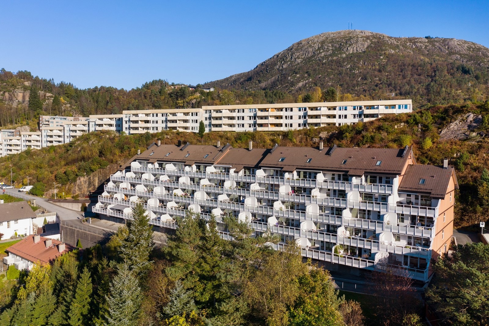 Velkommen til visning! Galleribilde