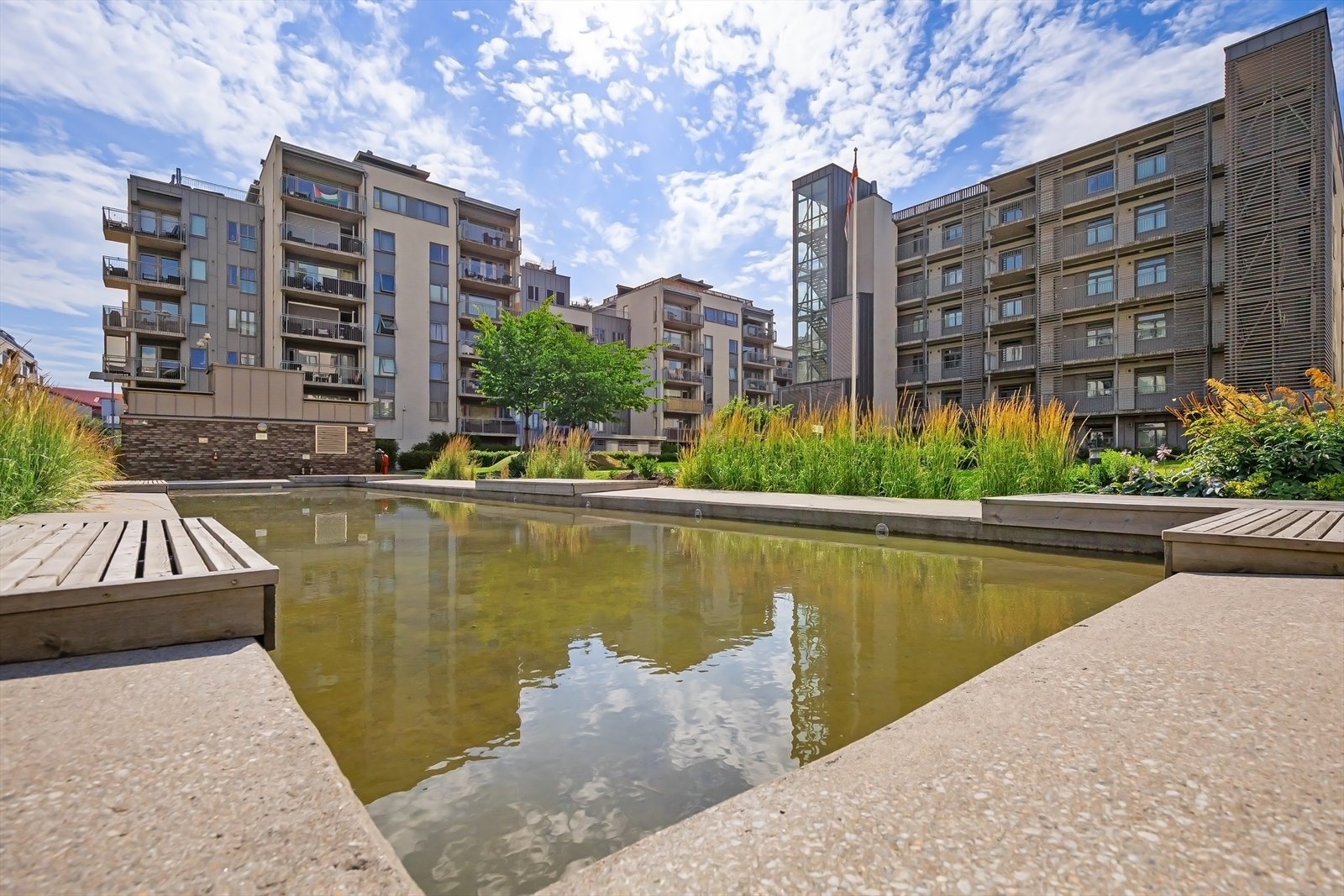 Pent opparbeidet fellesareal med asfalterte internveier, vannspeil, lekeplass, plen og beplantning. Galleribilde