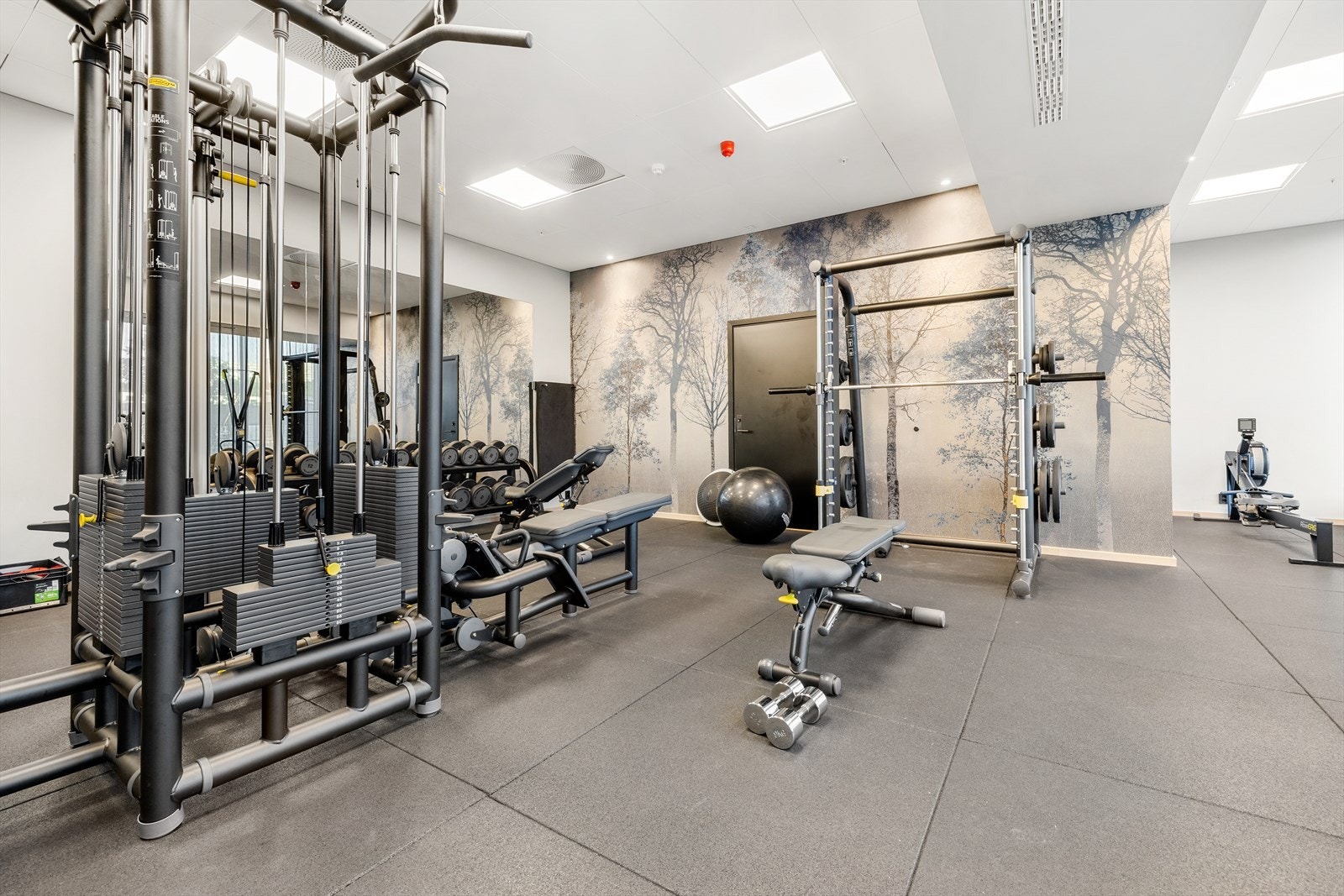 Beboerne har tilgang til et eget, velutstyrt treningsrom i bygget. Galleribilde