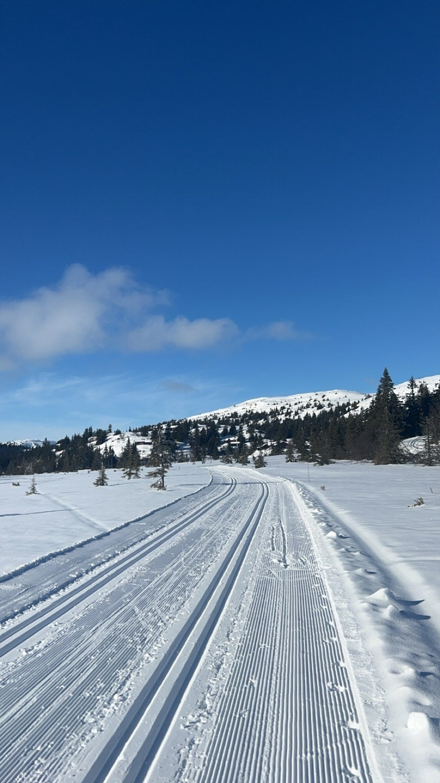 Vinterbilde tatt av selger Galleribilde