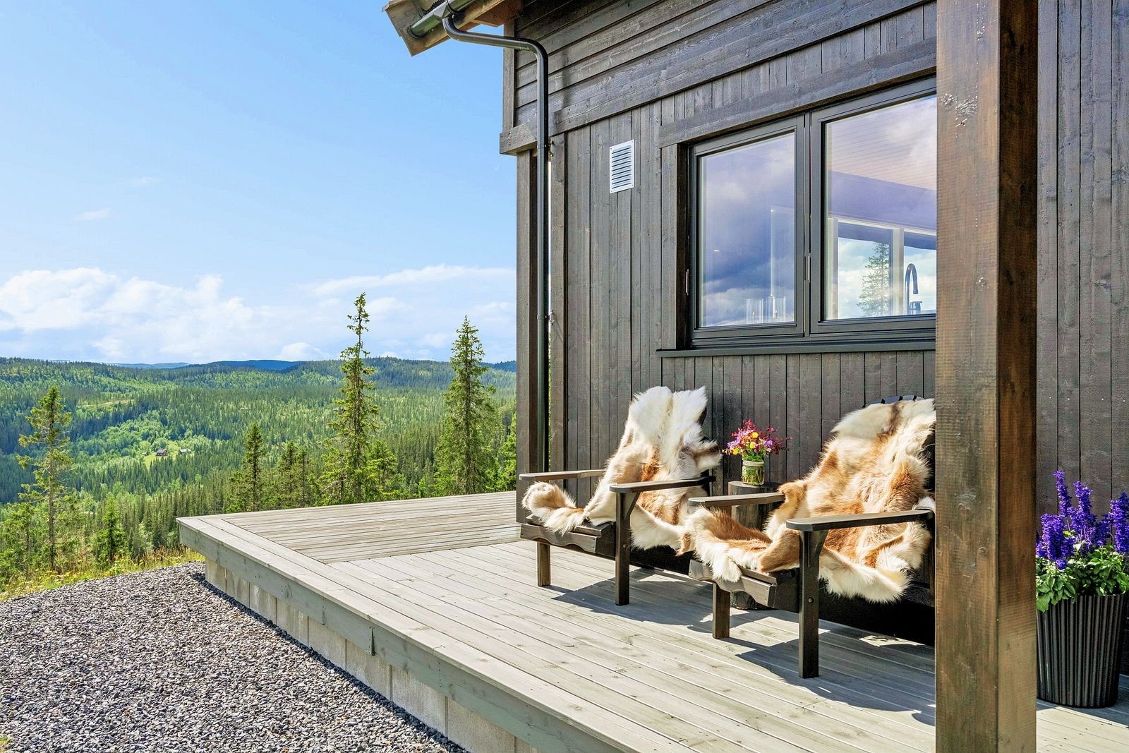 Sommerbilde tatt sommeren 2024. Galleribilde