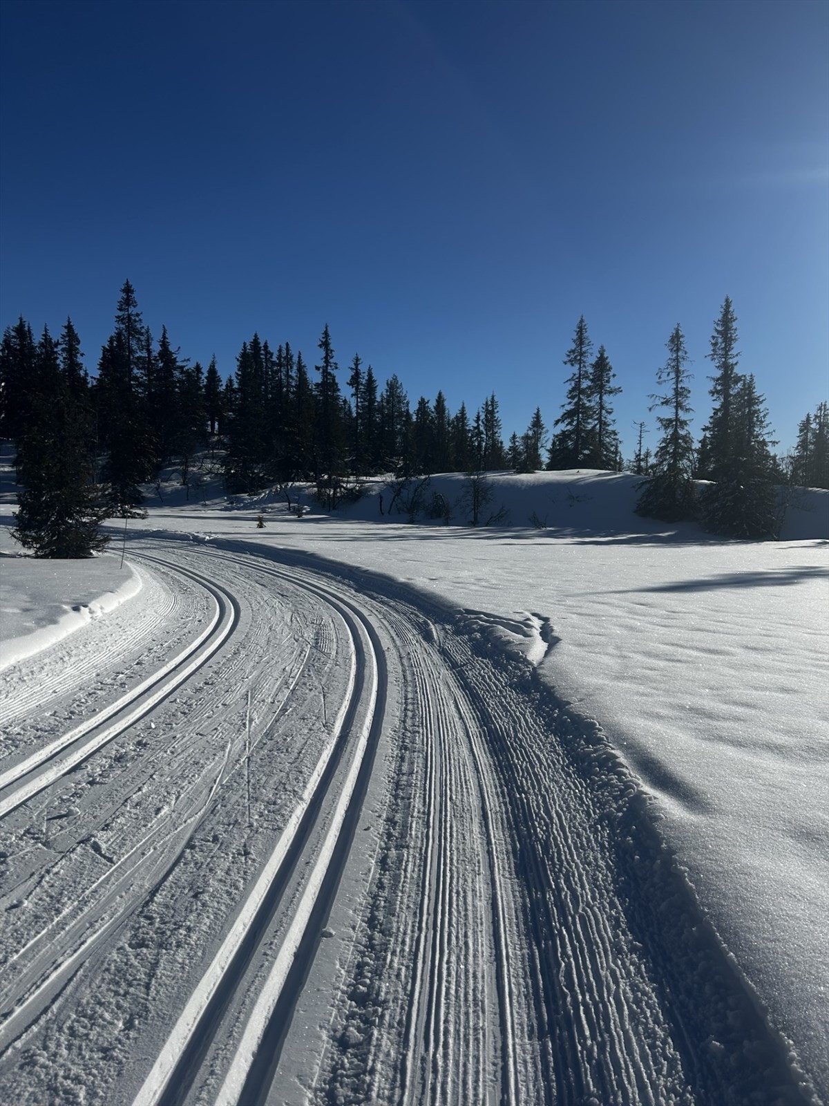Vinterbilde tatt av selger Galleribilde