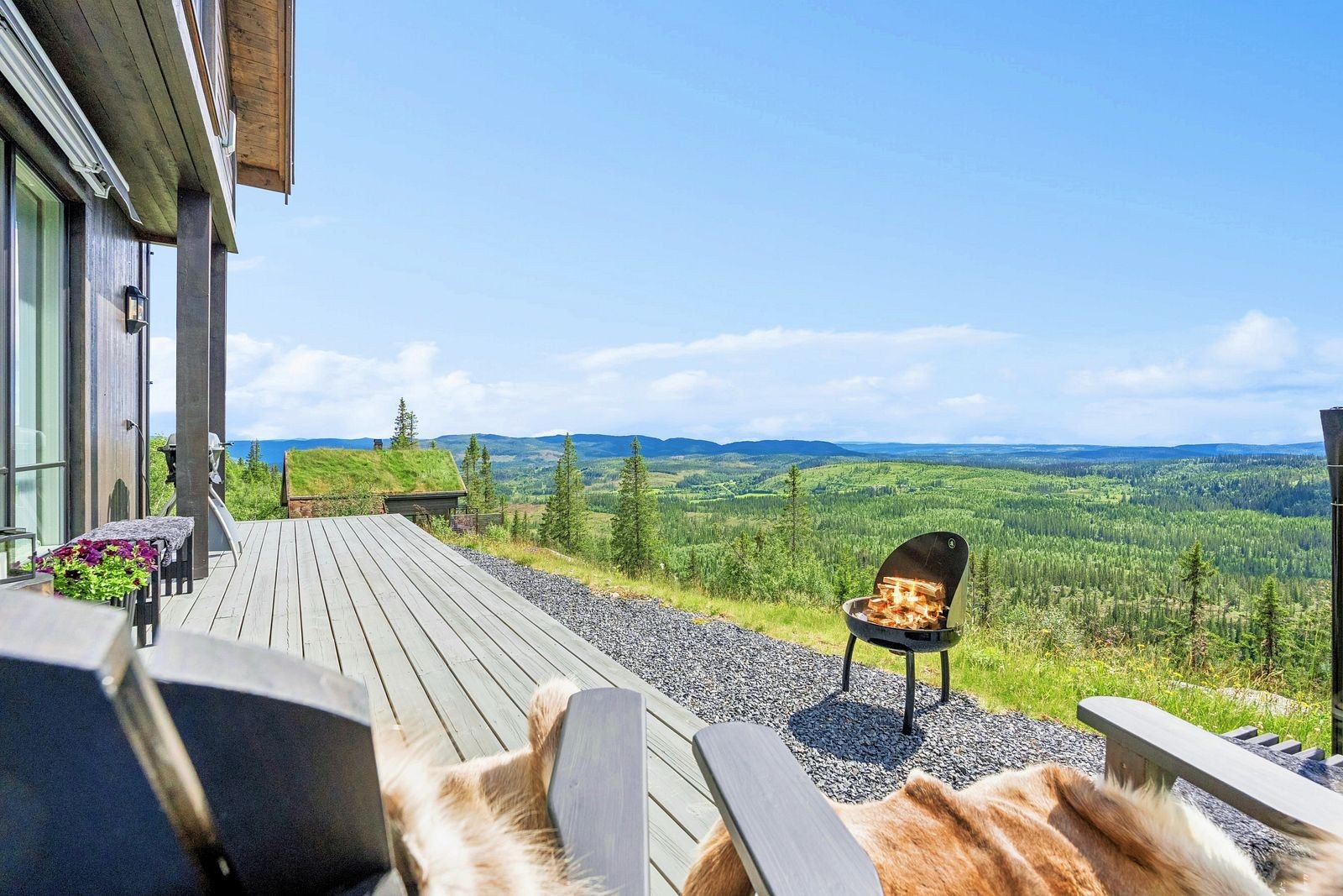 Sommerbilde tatt sommeren 2024. Galleribilde