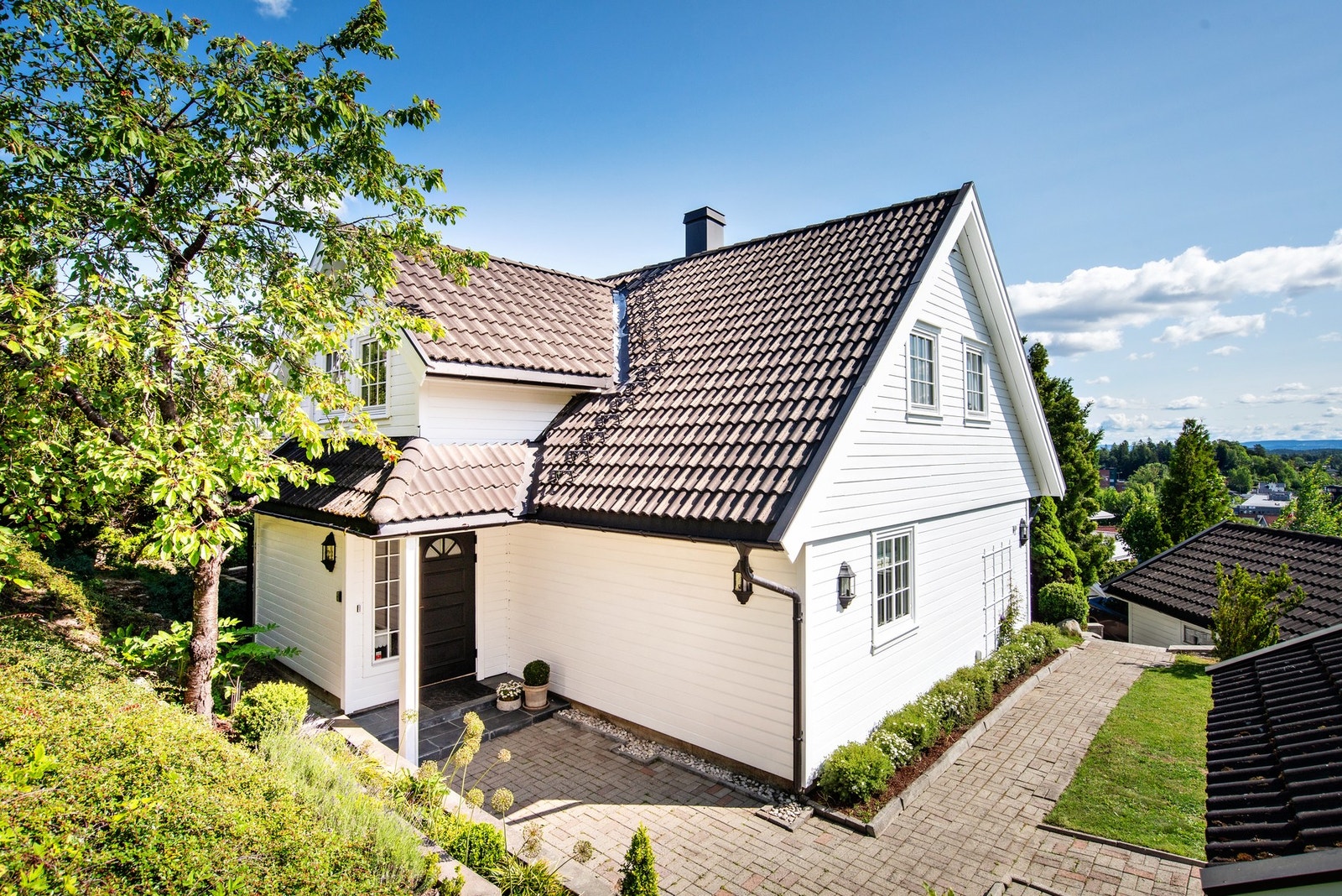 Bilde tatt fra i sommer. Galleribilde