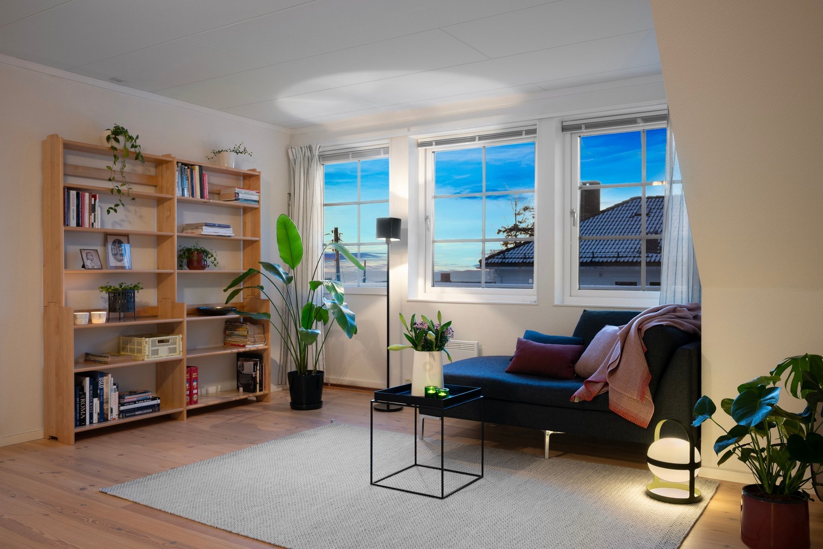 Kveldsstemning. Galleribilde