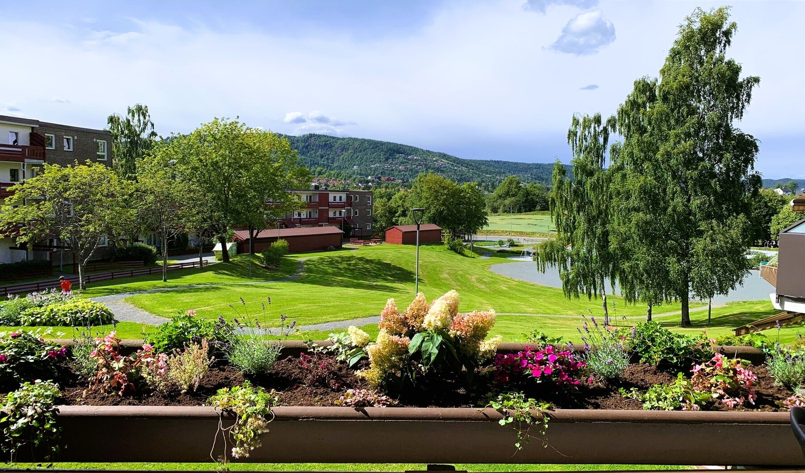 Selger egne - Frodige omgivelser på Helset. Galleribilde