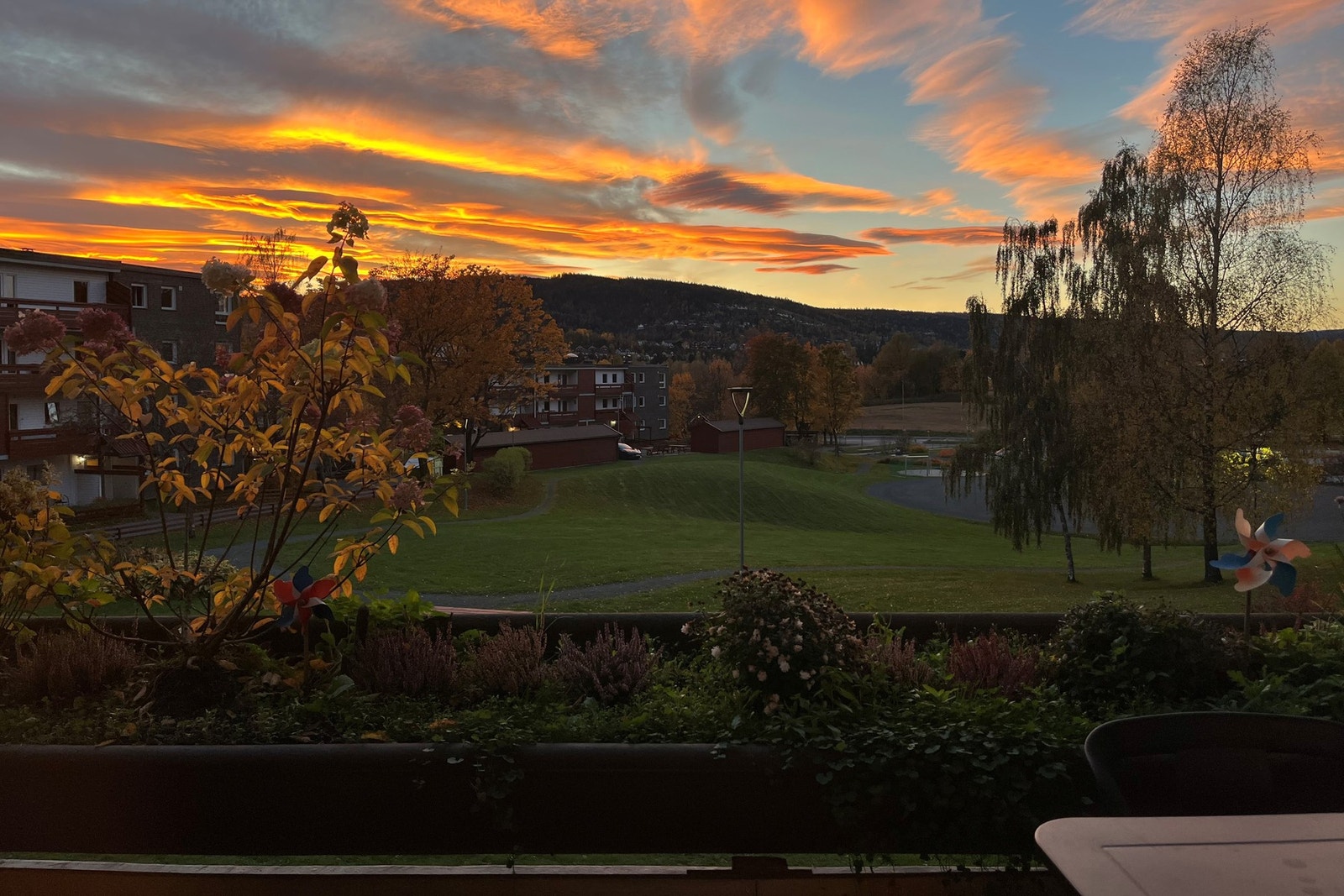 Selger egne - Når dagen sier takk for seg på sitt vakreste. Galleribilde