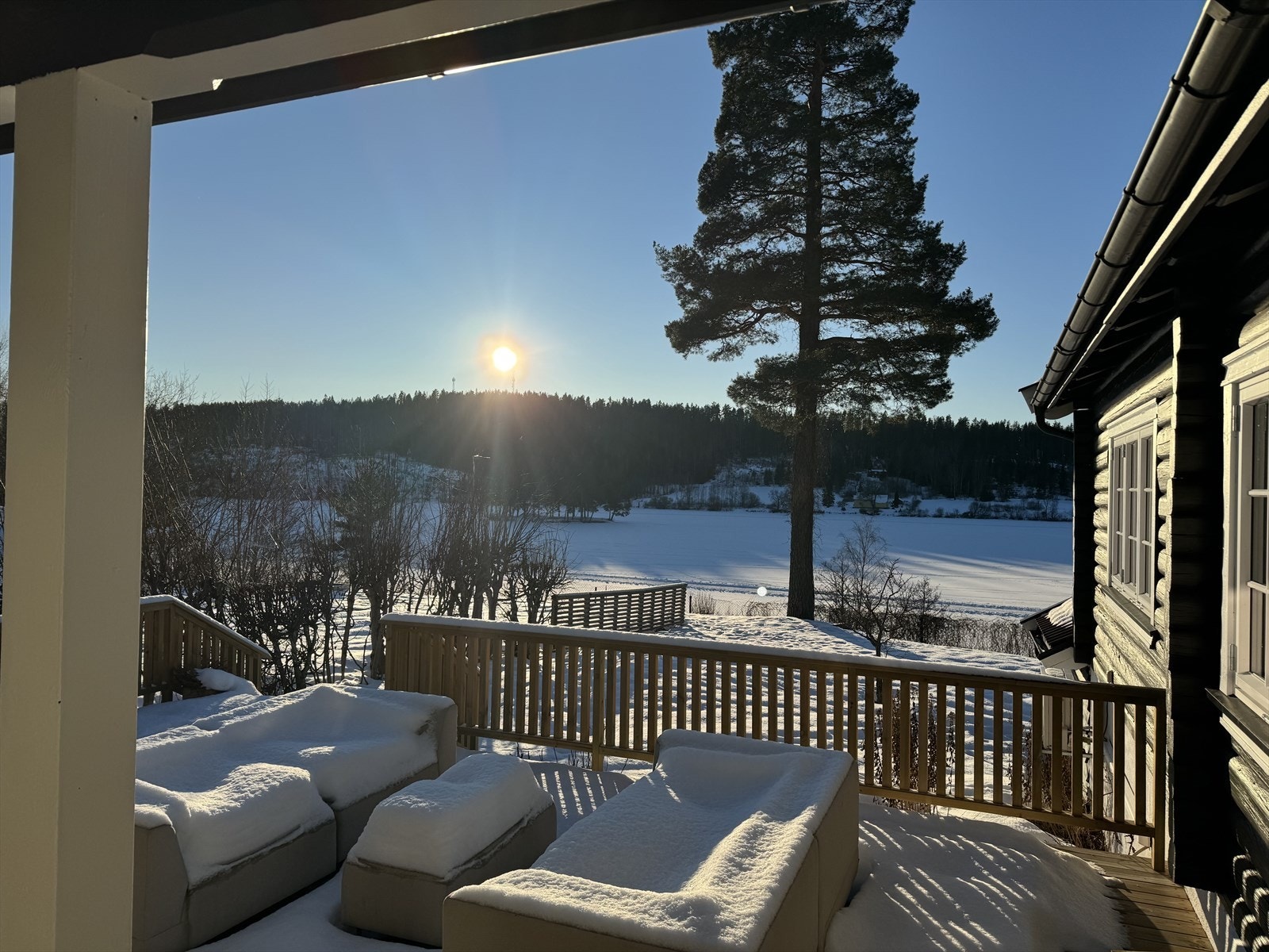 IMG_5513.jpeg Galleribilde