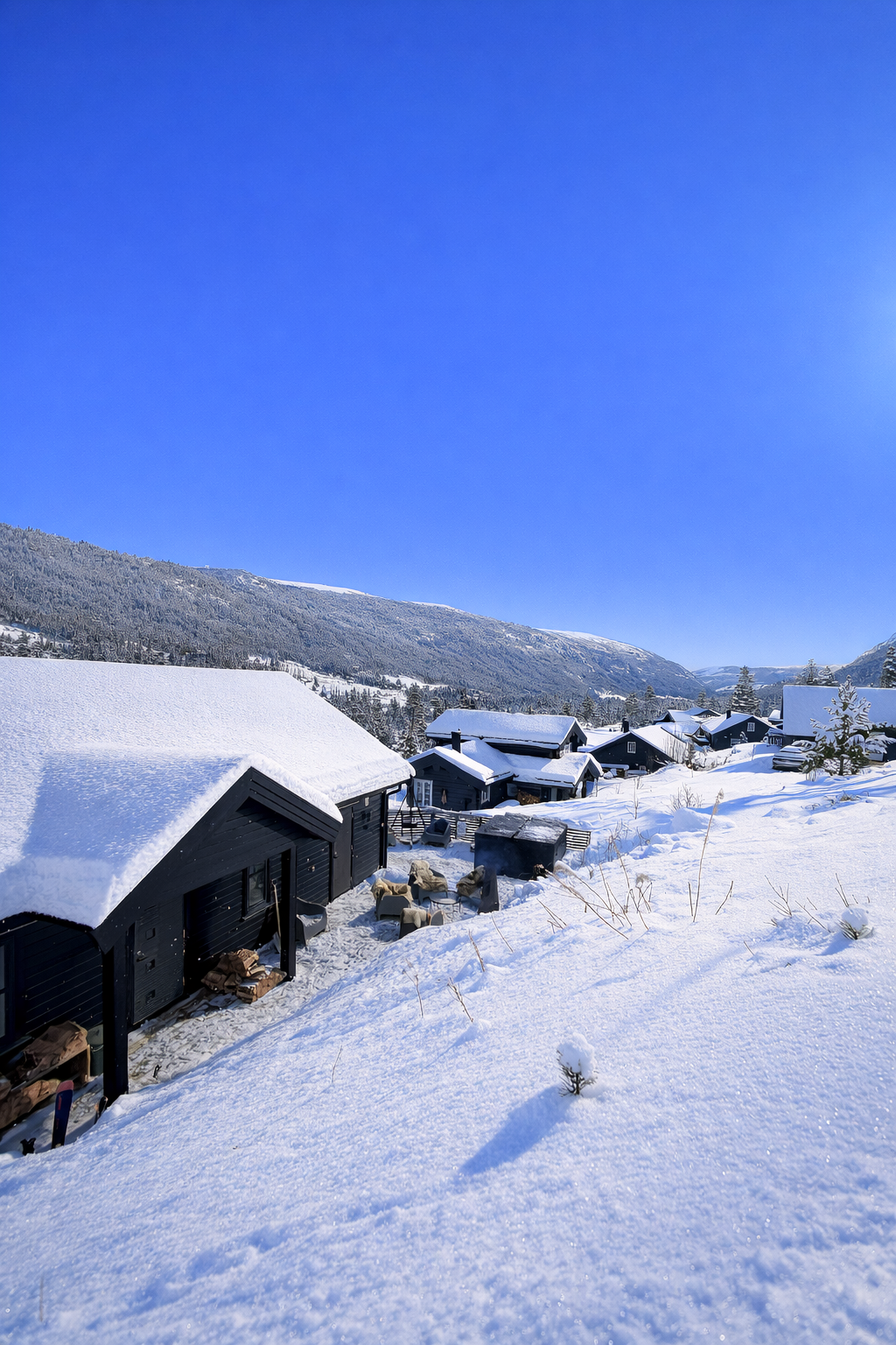 Selgers bilde. Galleribilde