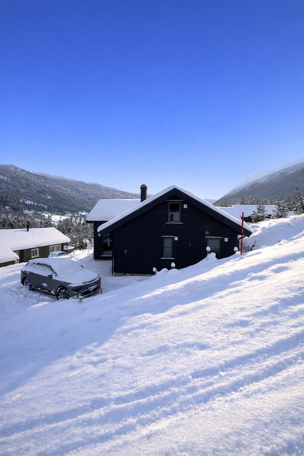 Selgers bilde. Galleribilde