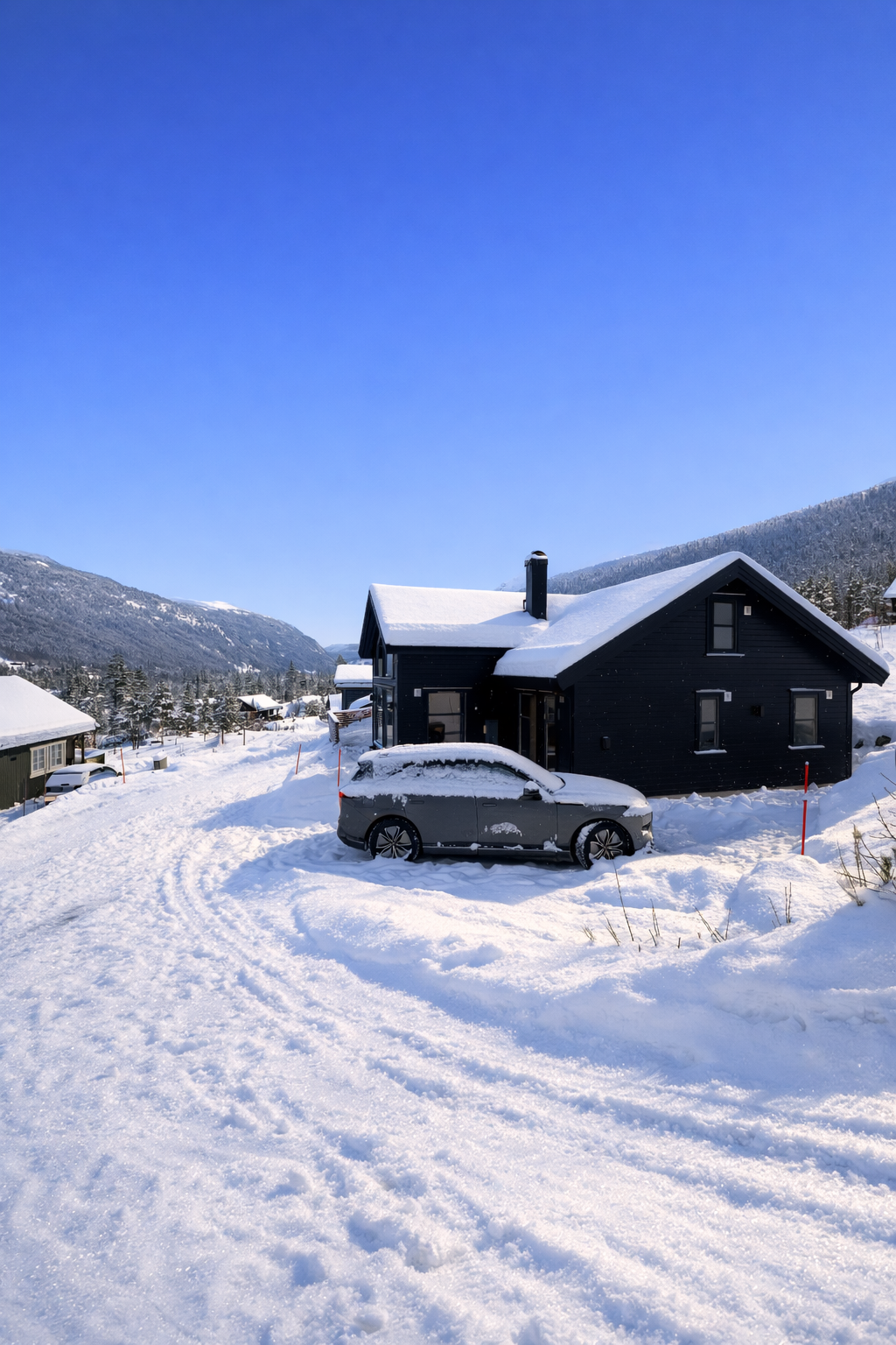 Selgers bilde. Galleribilde