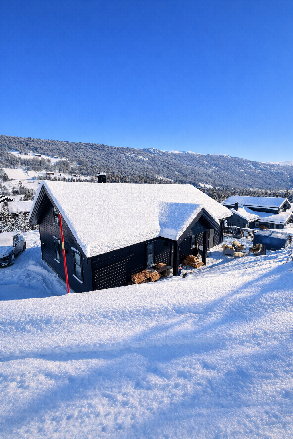 Selgers bilde. Galleribilde