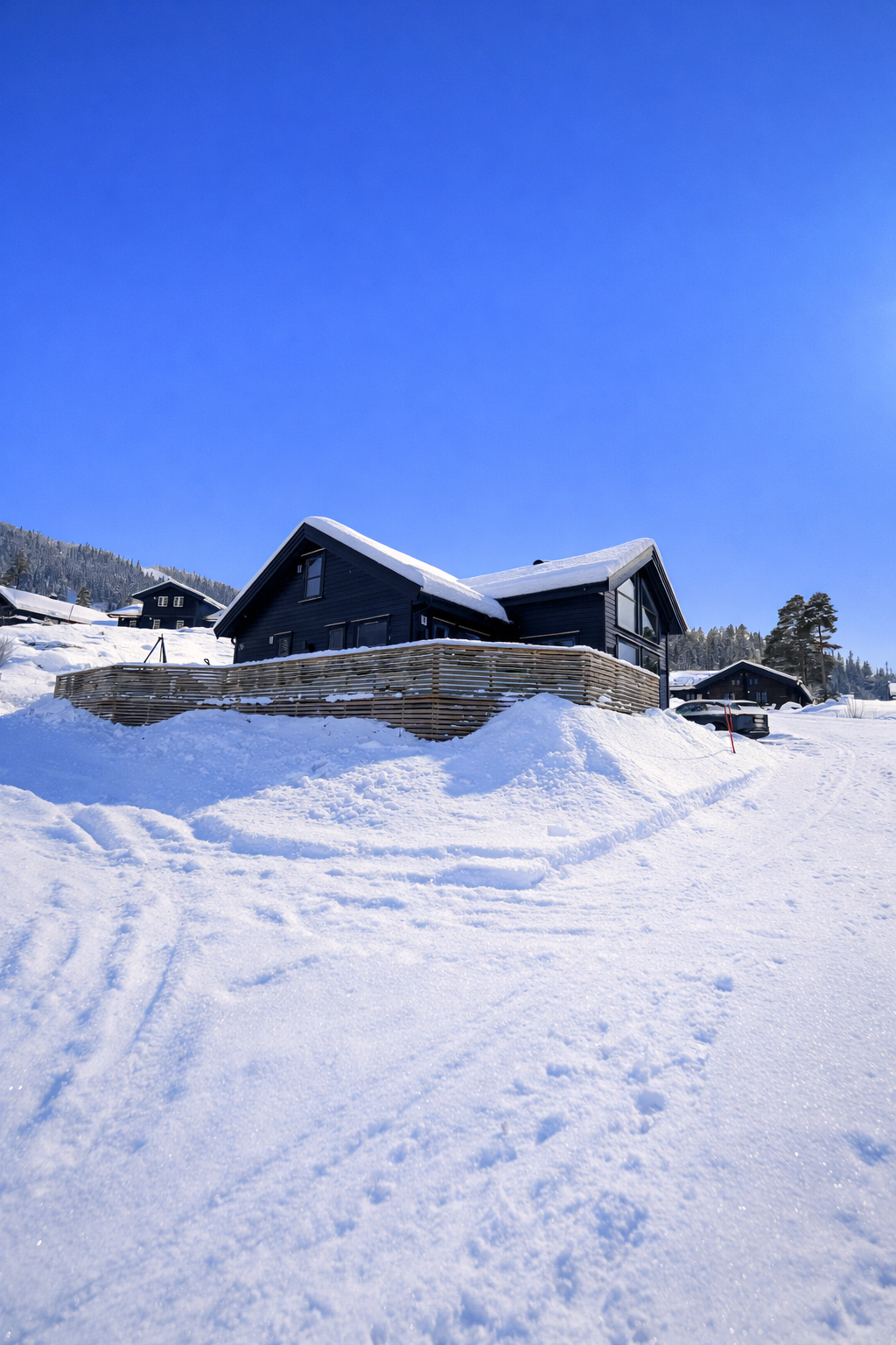 Selgers bilde. Galleribilde