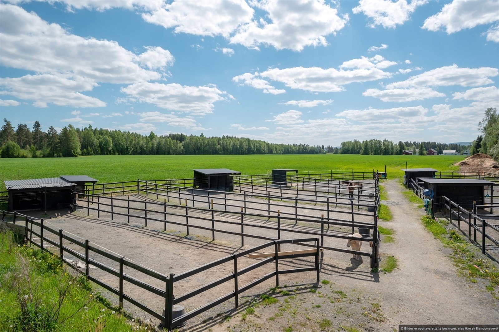 Paddockene er grøftetdrenert i senere tid og har som følge av det god avrenning også på det våte årstidene. Galleribilde