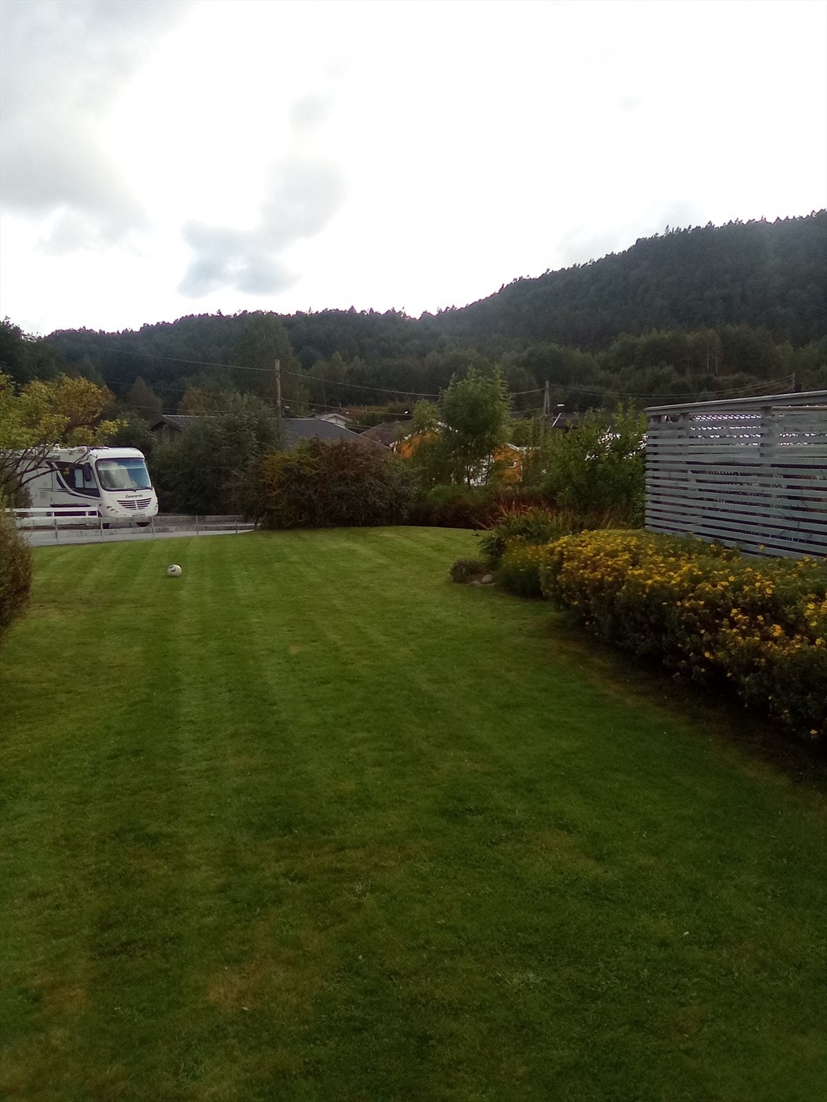 Bilde av hage på sommerstid. Galleribilde