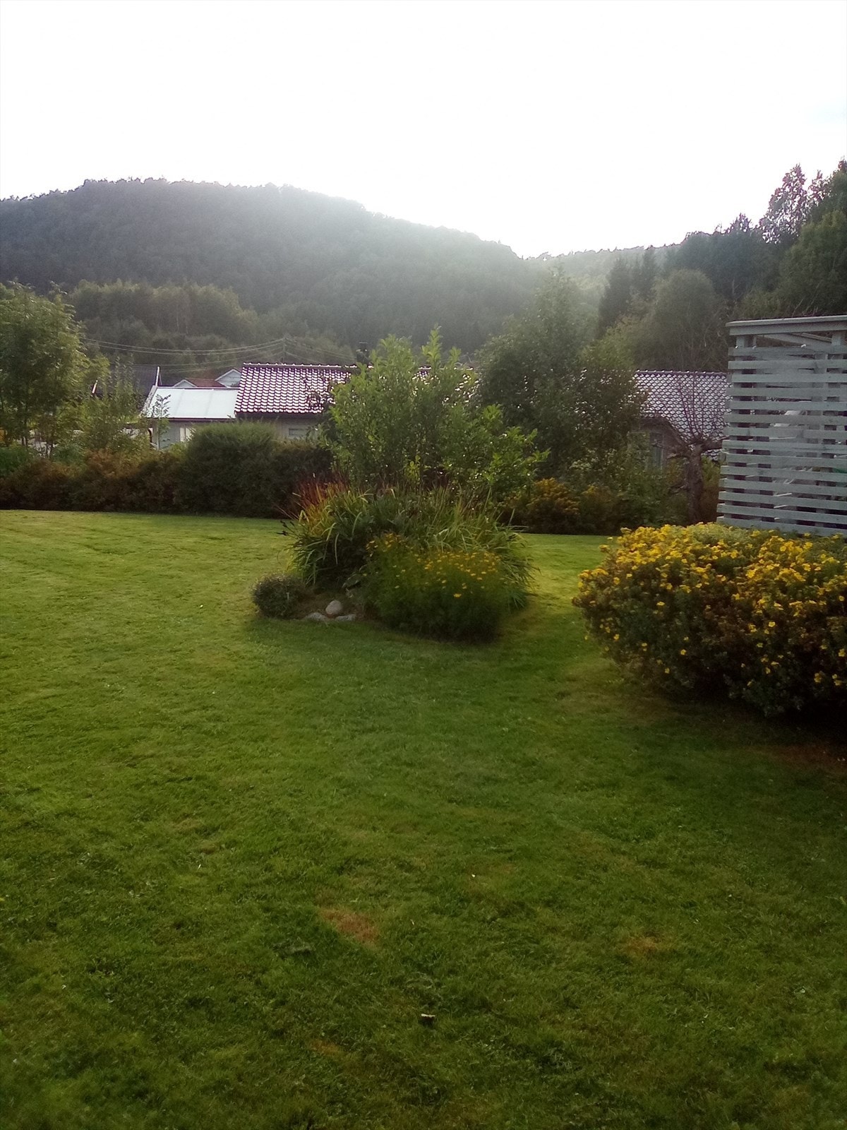 Bilde av hage på sommerstid. Galleribilde