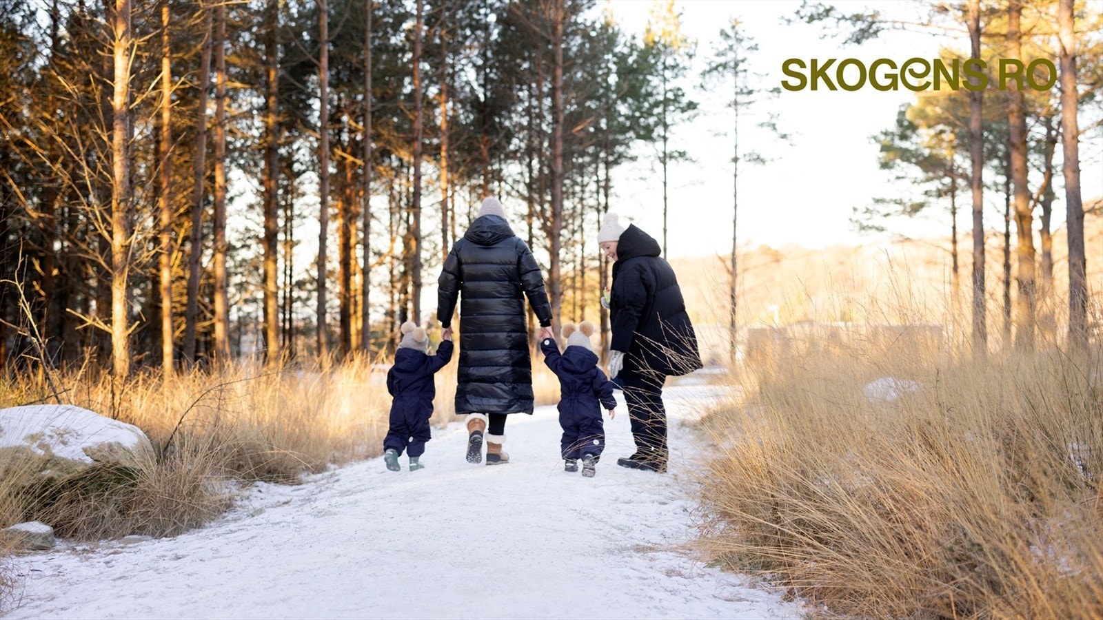 Nærområdet Galleribilde