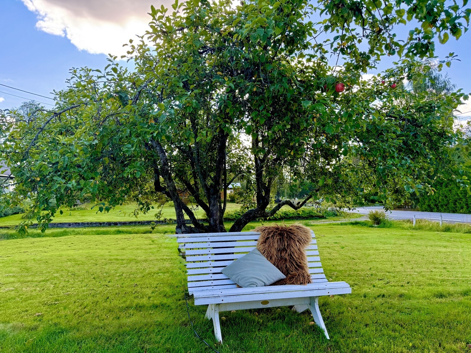 Stemningsbilde fra en solskinnsdag. (Selgers eget foto) Galleribilde