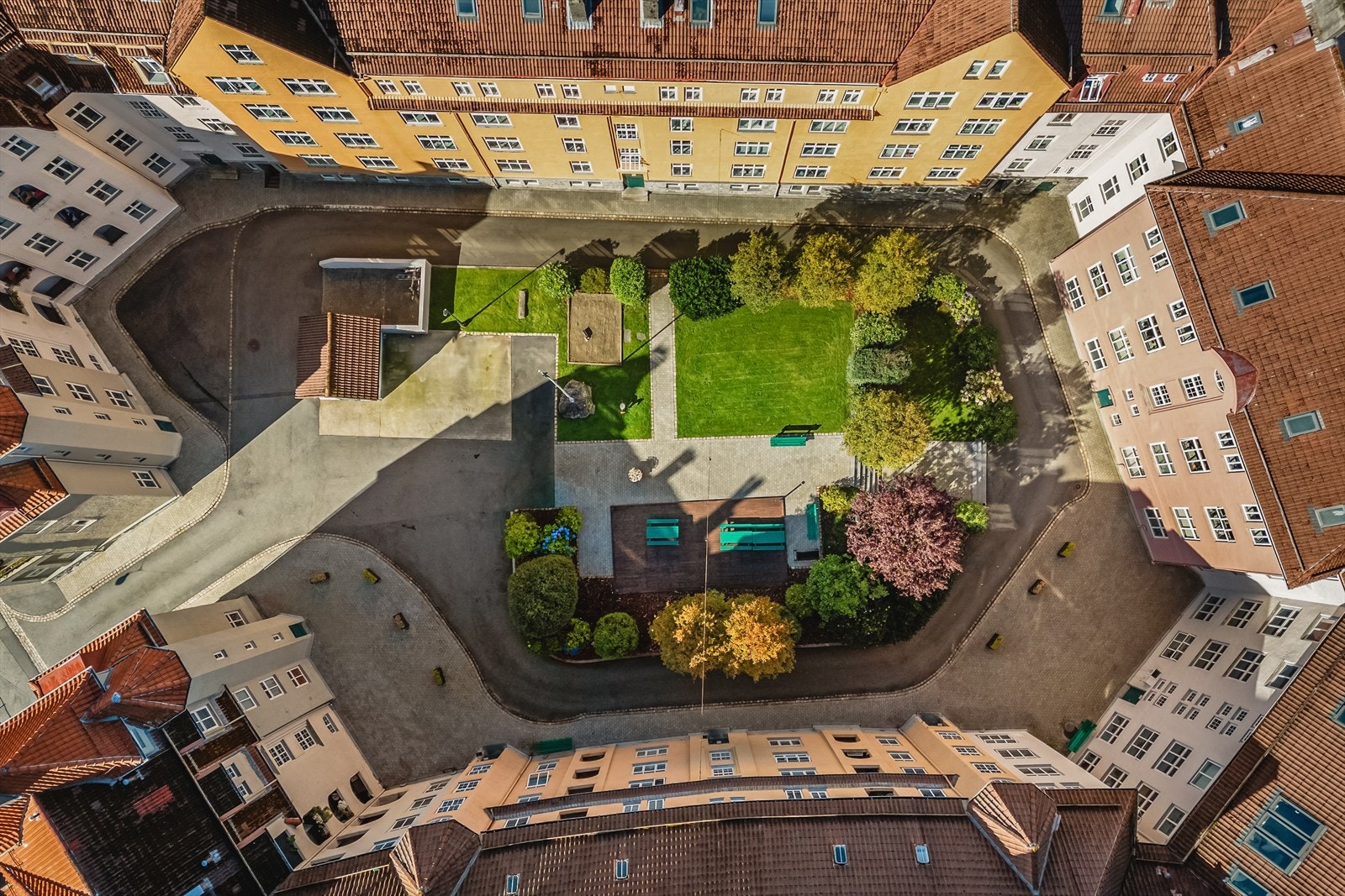 Frodige omgivelser i nabolaget på sommerstid. Galleribilde