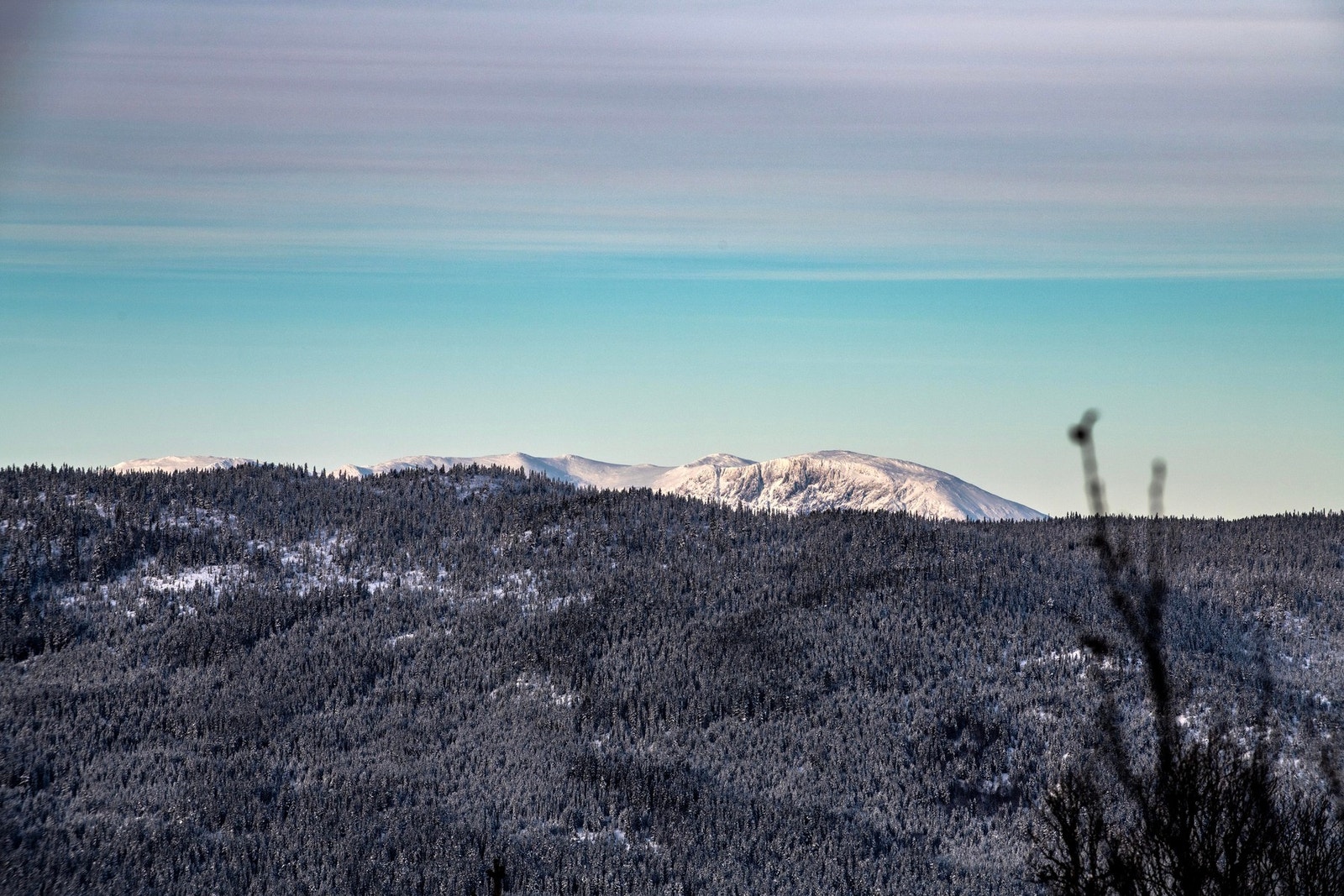 Utsiktsbilde. Galleribilde