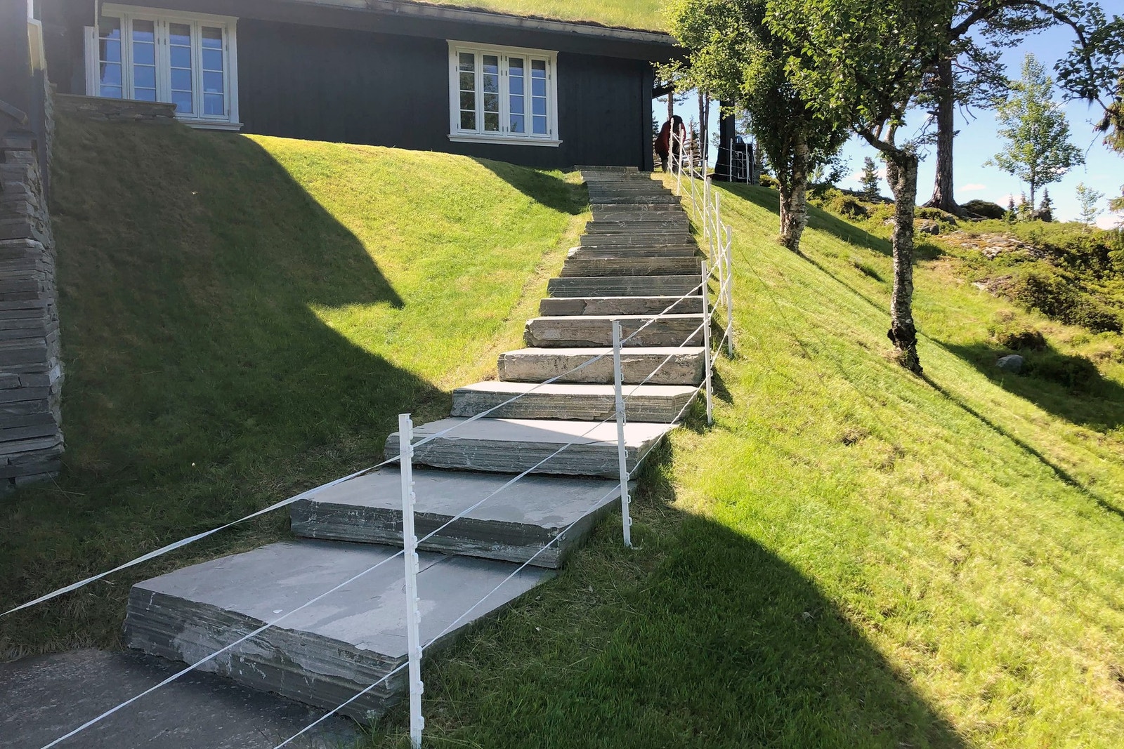 Selgers bilde. Galleribilde