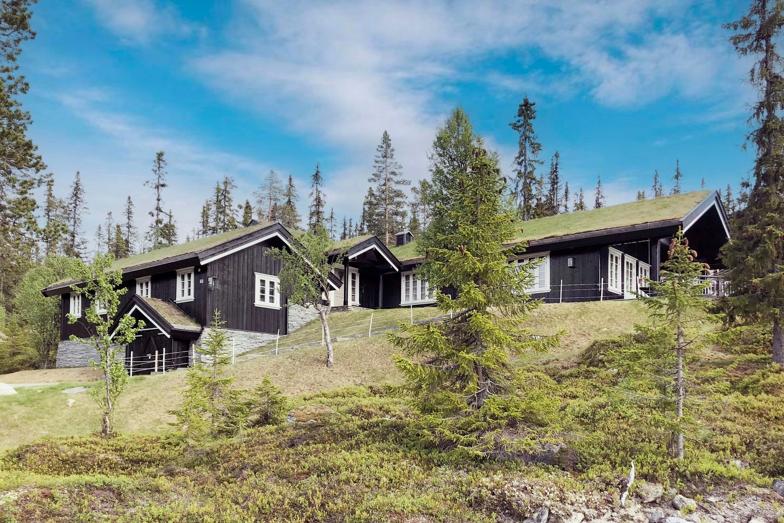 Selgers bilde. Galleribilde