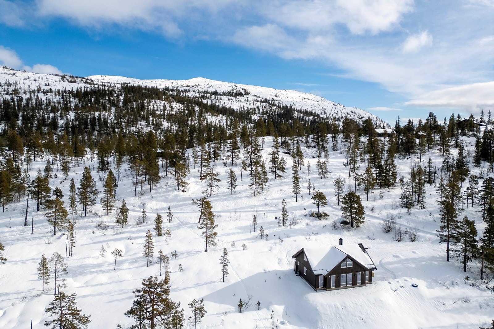 Hytteområdet ligger ved fjellvann og variert natur, nær Trillemarka og Norges største vernede naturskogområde. Galleribilde