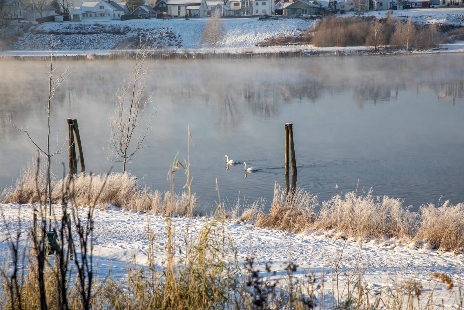 Stemningsbilde - bilde tatt privat. Galleribilde